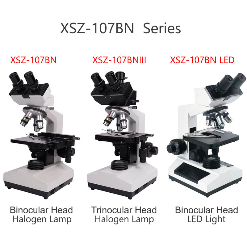Xsz-107bn電子研究所複合生物双眼医療歯科ラボ顕微鏡 - Sewing Lab のレビューと価格